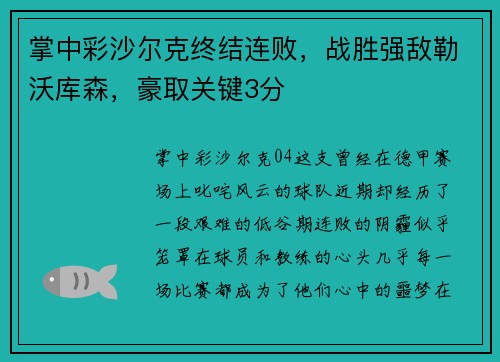 掌中彩沙尔克终结连败，战胜强敌勒沃库森，豪取关键3分