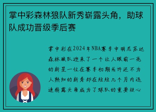 掌中彩森林狼队新秀崭露头角，助球队成功晋级季后赛