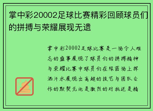 掌中彩20002足球比赛精彩回顾球员们的拼搏与荣耀展现无遗