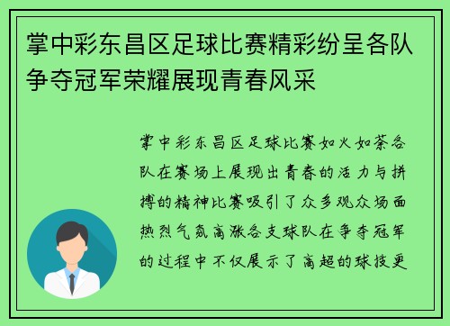掌中彩东昌区足球比赛精彩纷呈各队争夺冠军荣耀展现青春风采
