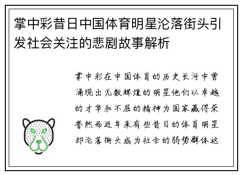 掌中彩昔日中国体育明星沦落街头引发社会关注的悲剧故事解析