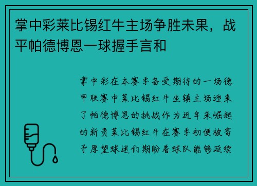 掌中彩莱比锡红牛主场争胜未果，战平帕德博恩一球握手言和