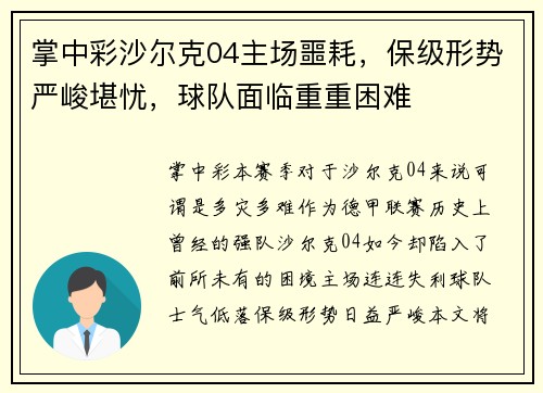 掌中彩沙尔克04主场噩耗，保级形势严峻堪忧，球队面临重重困难