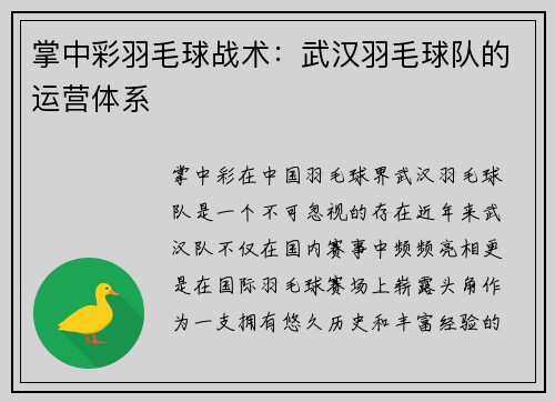 掌中彩羽毛球战术：武汉羽毛球队的运营体系