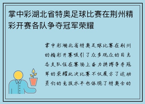 掌中彩湖北省特奥足球比赛在荆州精彩开赛各队争夺冠军荣耀